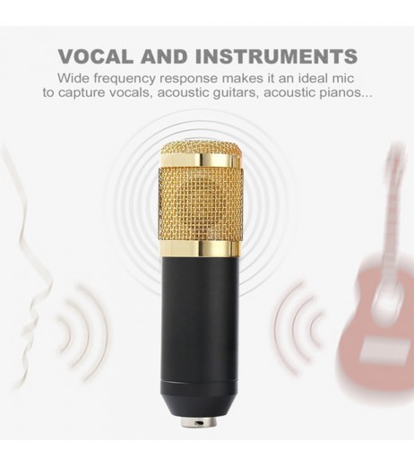 BM800 Condenser Microphone Kit Pro Audio Studio Recording & Brocasting Adjustable Mic Suspension Scissor Arm Pop Filter
